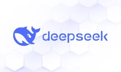 DeepSeek